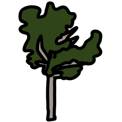 a simplistic drawing of a Juniperus bermudiana tree (common name Bermuda cedar), with thick black lineart.